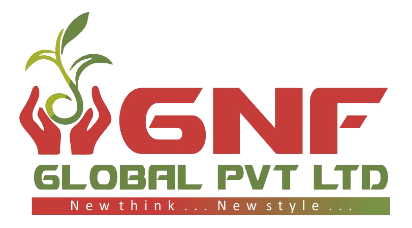 GNF Global Pvt. Ltd. MIS